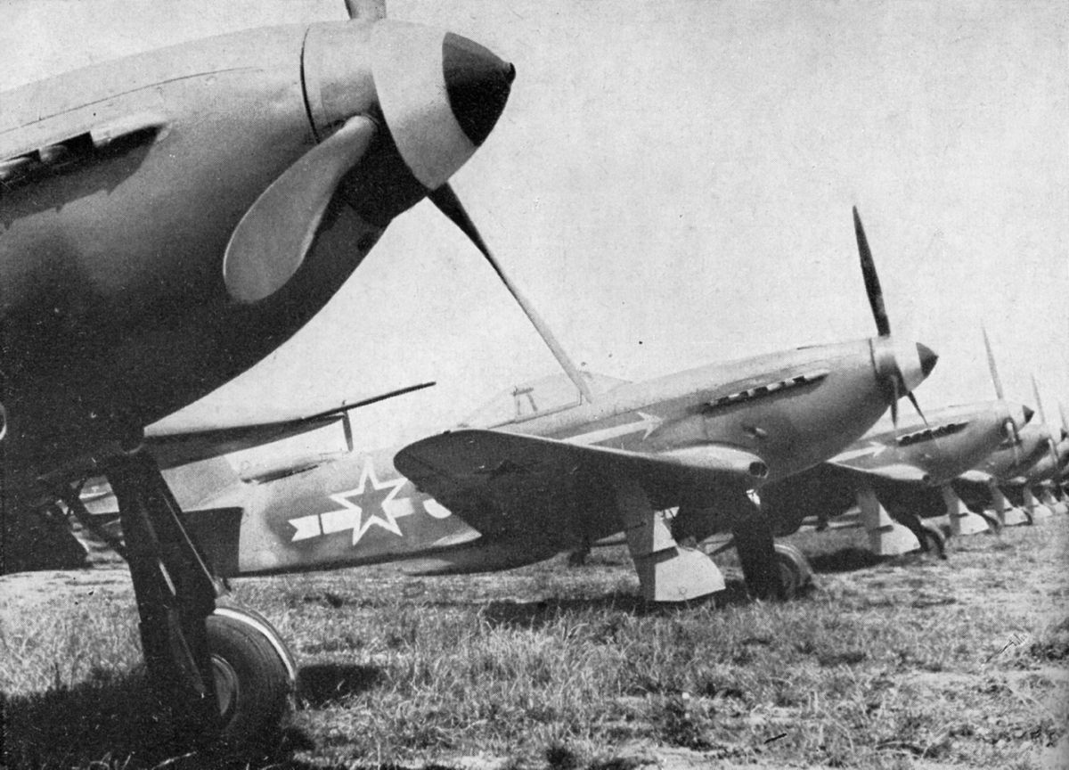 Yak-3s  of the Normandie-Niemen Regiment