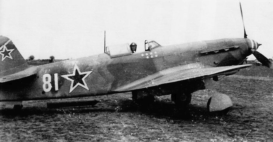 Yak-9T "White 81", 236 IAD
