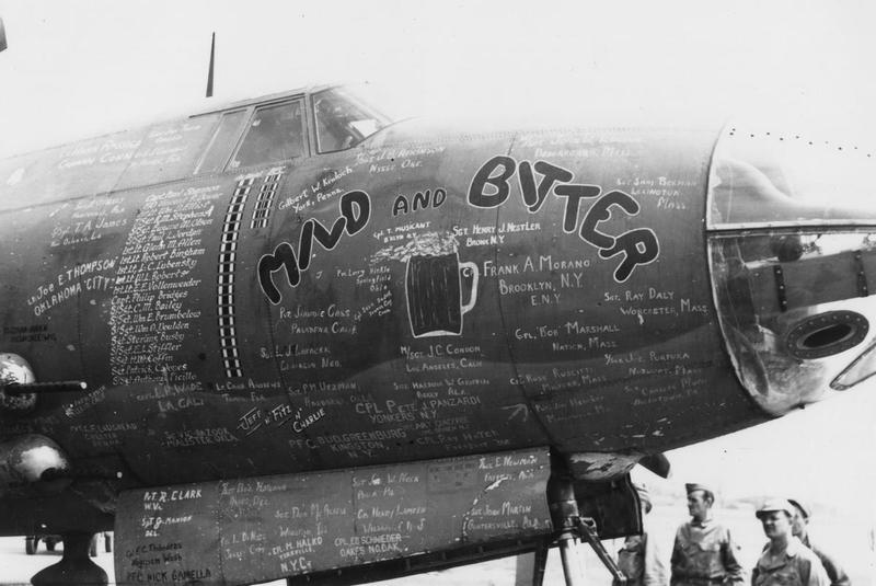 theaviationgeekclub.com