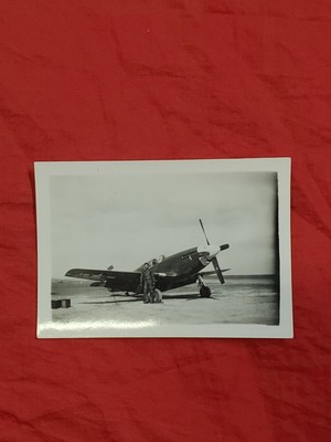 www.ebay.com