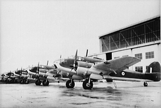 collections.museumsvictoria.com.au
