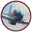 www.aviationartsa.com